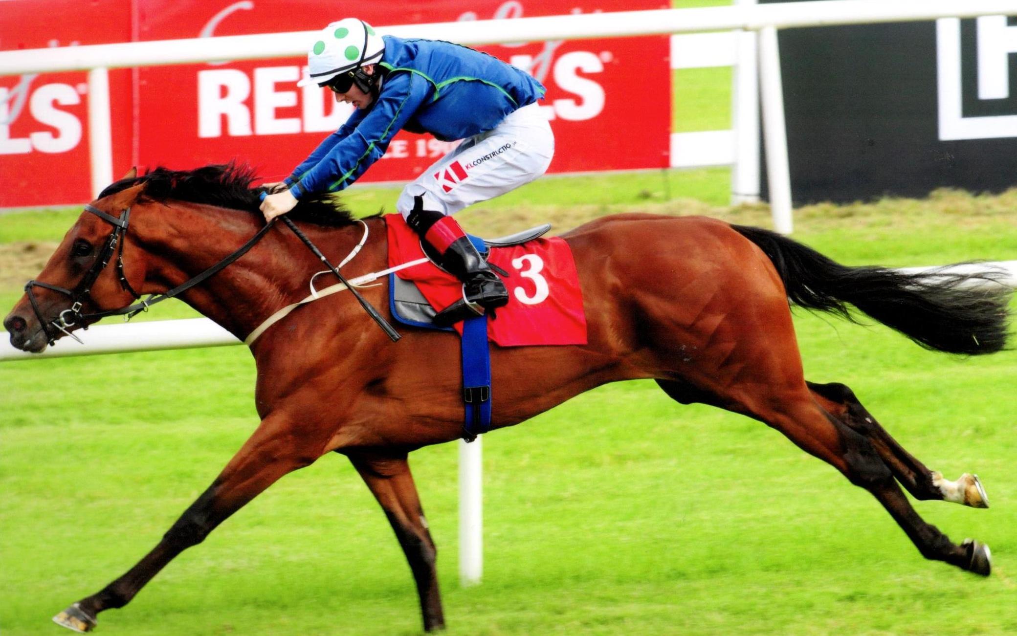 INSAYSHABLE makes every yard a winning one with a fine preformance at Gowran 22nd July 2017